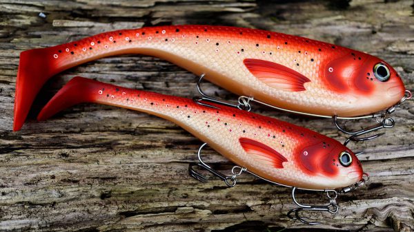 brown trout soft plastic lure