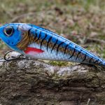 Venom - Blue Mackerel
