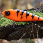 Venom – Carot