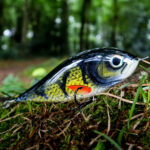 Piranha (16cm) - Perch (white pearl belly)