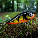 Piranha (16cm) - Perch