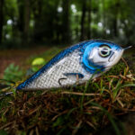 Piranha (16cm) - Roach