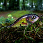 Piranha (16cm) - Brown Trout