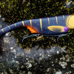 Flat Shad - Black Perch