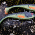 Soft Plastic Shad - Motoroil Perch