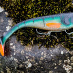 Soft Plastic Shad - Perch