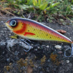 Venom -Wild Trout