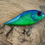 Piranha (16cm)  - Green Wizard