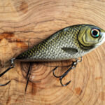 Baby Piranha (12cm) - Bream