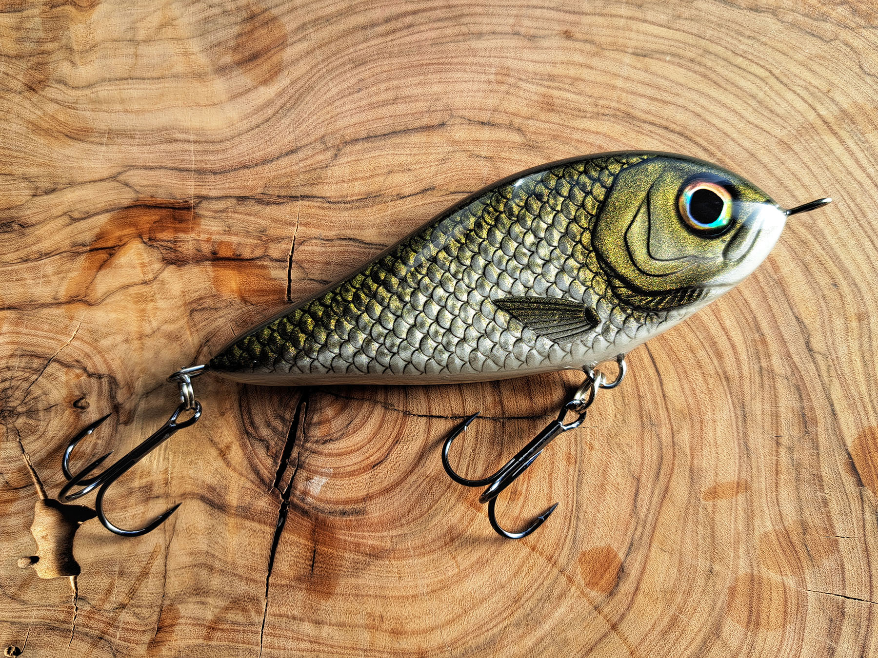 20240706_075902-01 Baby Piranha (12cm) - Bream - Image 1