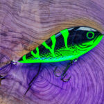 Piranha(16cm)  - Green Dragon